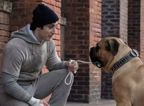 IPlayRocky_134353622389413171_big-cine_deskt.webp