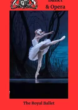 RBOHetZwanenmeer2_134250533529732049_big-cine_deskt.webp