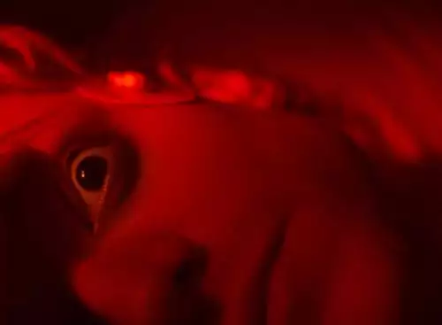 Clayface16_134342140728742017_big-cine_deskt.webp